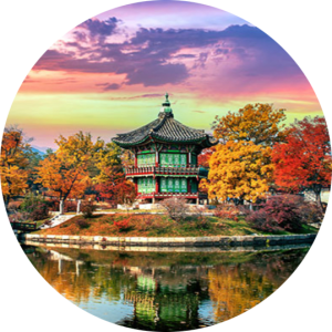 هستی سادات پورمجلسی