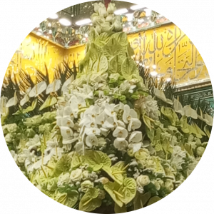 محمد رضا کیخا