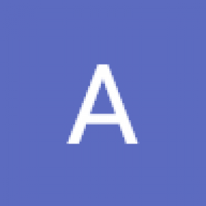 Amir 009