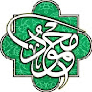 سید محمود میرحجازی
