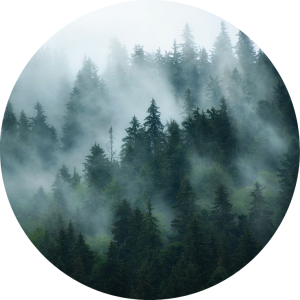 سانای مرتضی نژاد