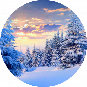 کاربر ناشناس