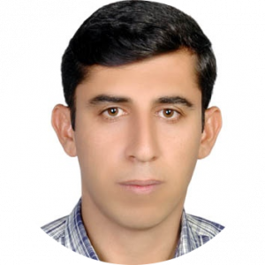 مهدی شاه ولی