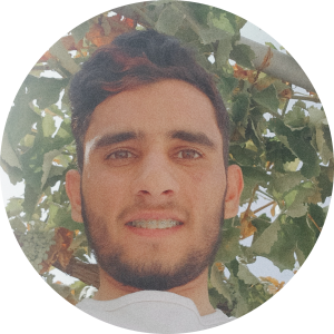 مجتبی جبله
