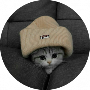 دخی گربه ای