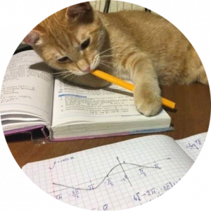 Arghavan Habibi nejhad