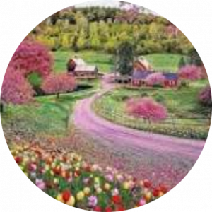 کوروش قاسمی نژاد