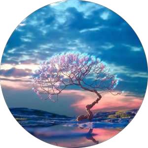 کاربر ناشناس