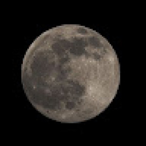 moon هانیه