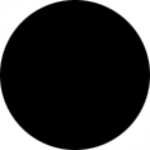 فاطمه دهقان نیری