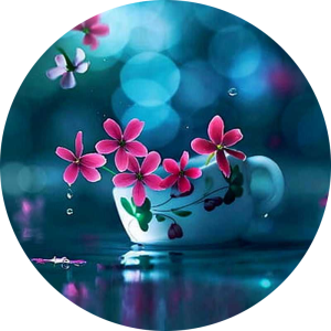 زیبای آرام