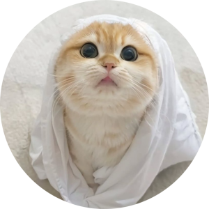 ناکسو ال