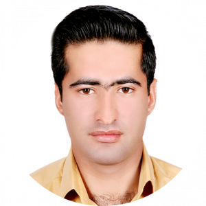 حجت عارفی