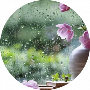 مرضیه فارسی