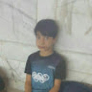 reza amir