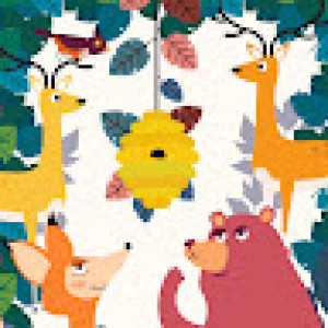 شقایق امیری دوست