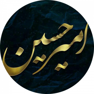 امیرحسین  رئیسی 