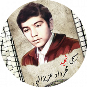 سید محمد حسین شهیدی