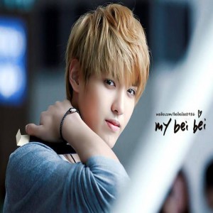 Kris  wu fan