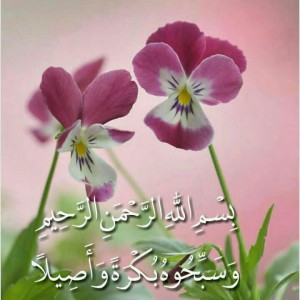 رضا خلیلیان