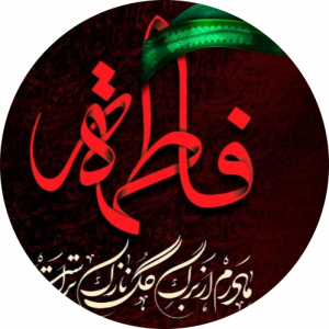 افشین رضوی